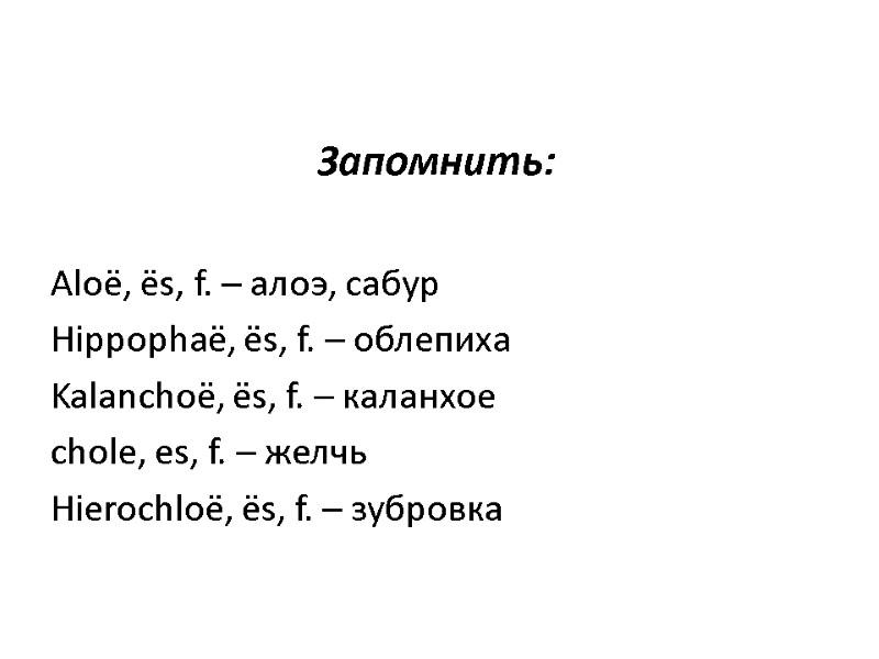 Запомнить: Aloё, ёs, f. – алоэ, сабур Hippophaё, ёs, f. – облепиха Kalanchoё, Запомнить: Aloё, ёs, f. – алоэ, сабур Hippophaё, ёs, f. – облепиха Kalanchoё,